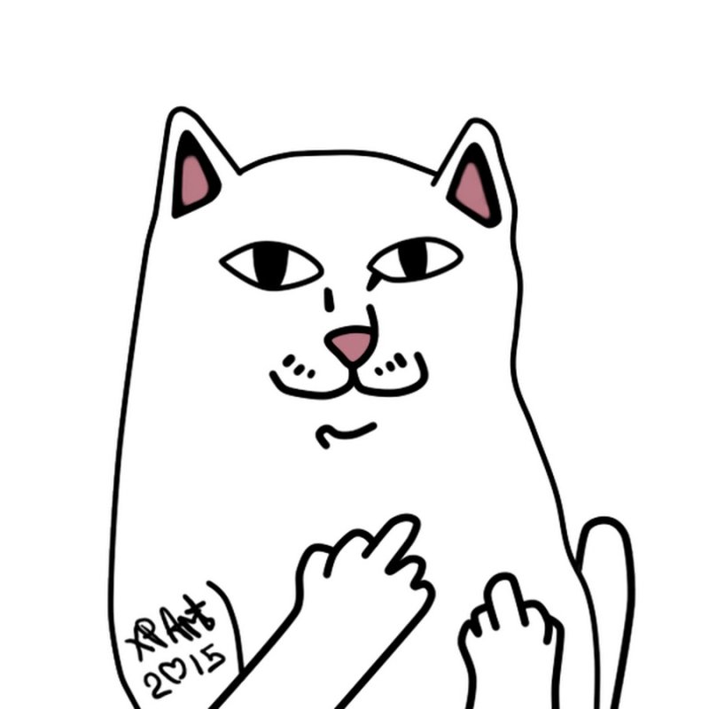 Кот с факом