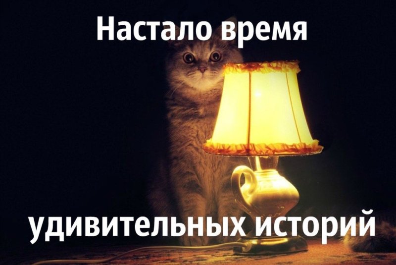 Время историй