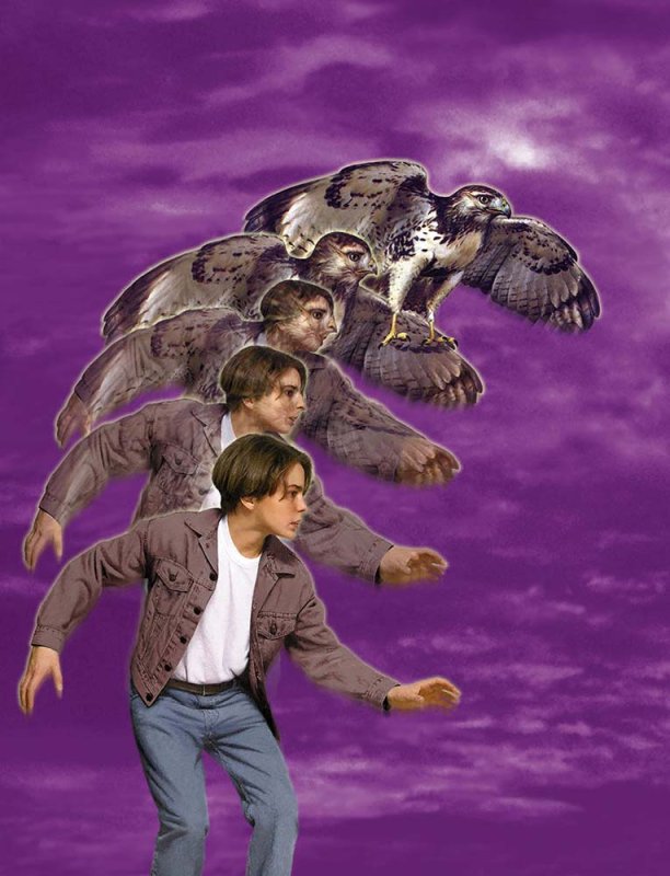 Аниморфы Дэвид