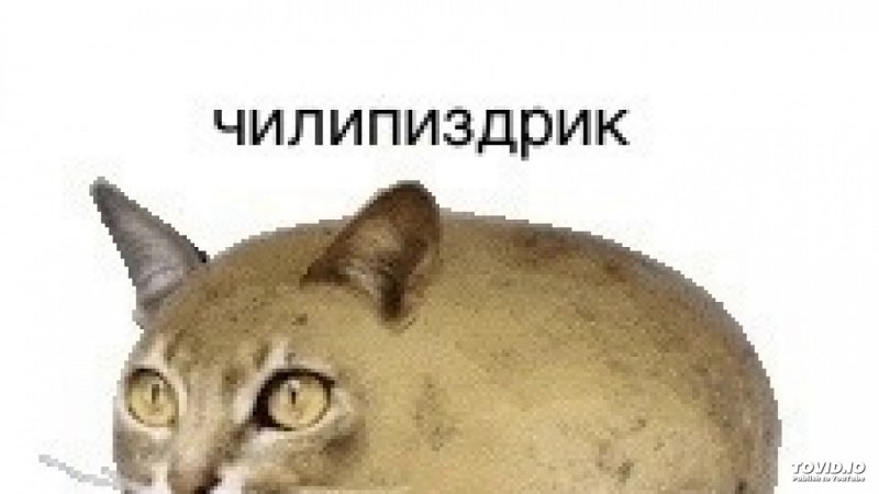 Кошка картошка