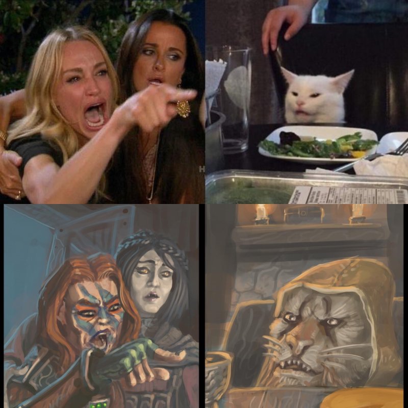 Мемы про кота и двух женщин