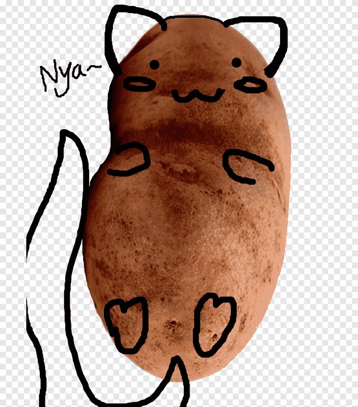 Кошка картошка арт