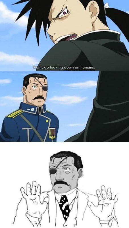 Стальной алхимик братство мемы