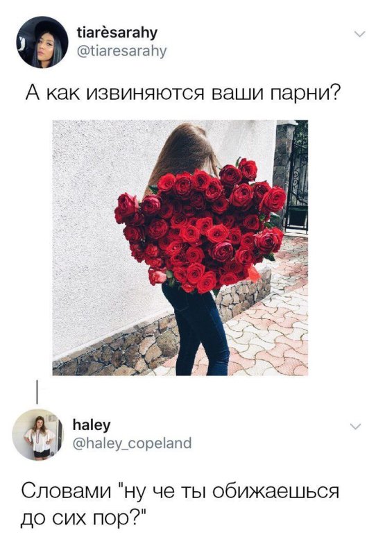 Оригинальное извинение