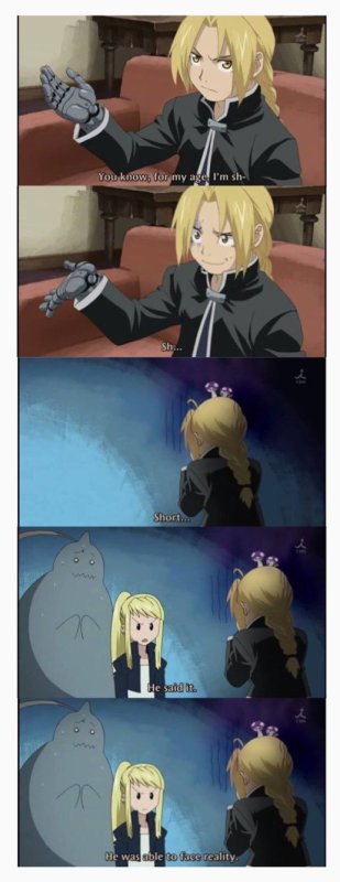 Мемы из аниме стальной алхимик