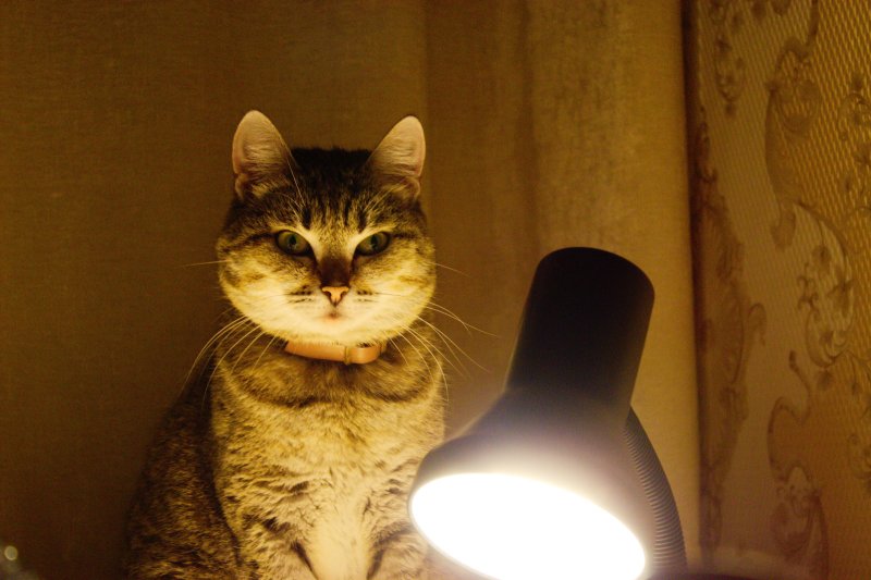 Вечер офигительных историй картинки