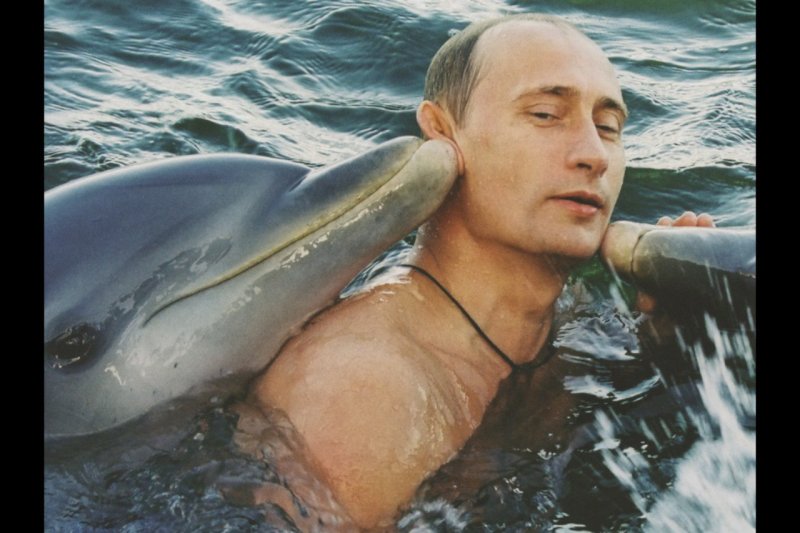 Дельфины Гомосексуалы