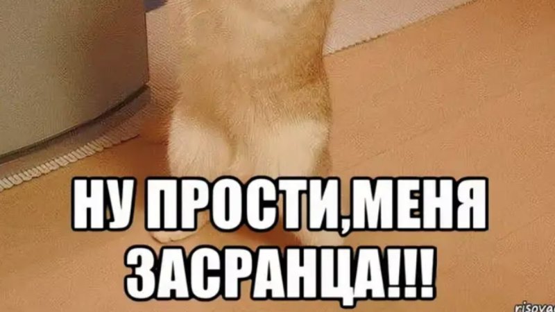 Прощаю картинки