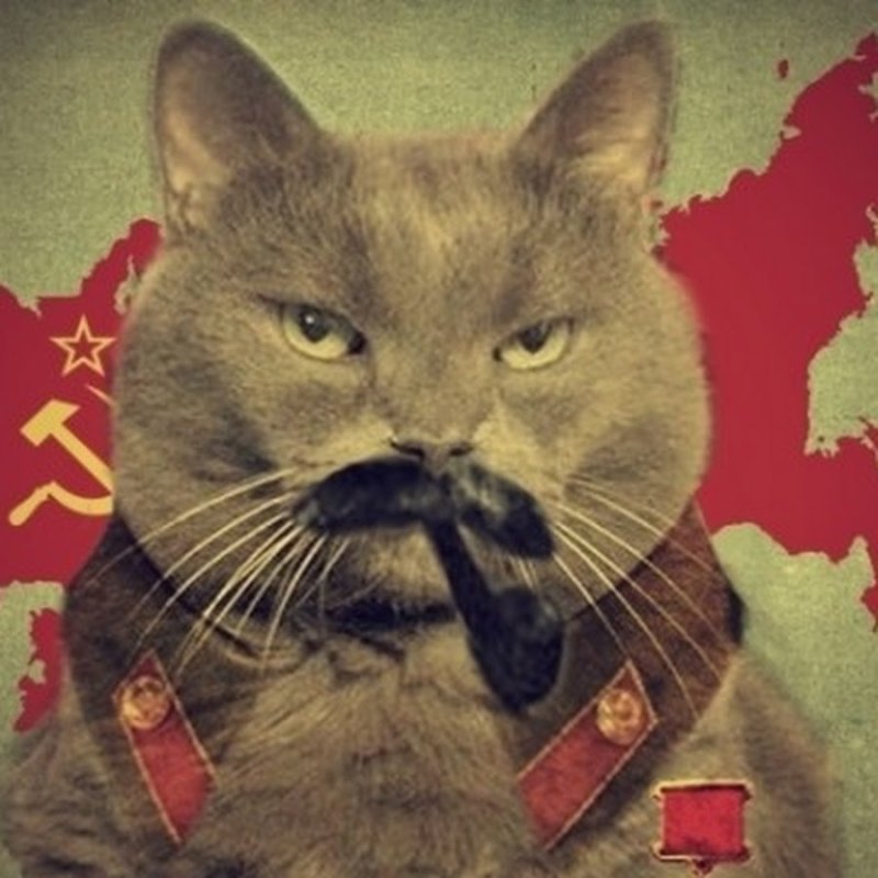 Кот коммунист