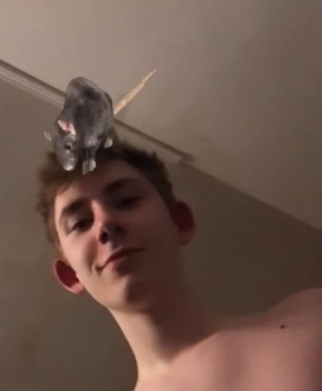 Данил Кравцов