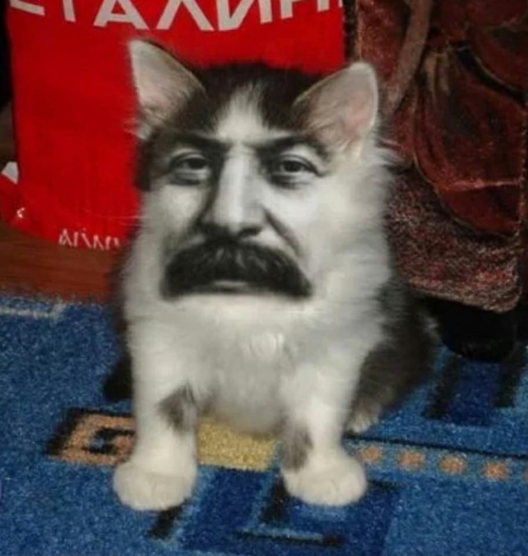 Сталин с кошачьими ушками