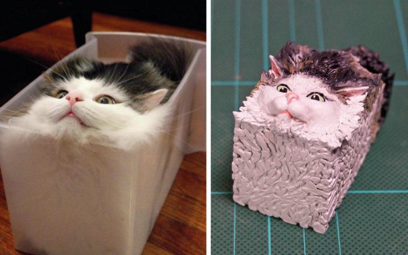 Кот на бумаге