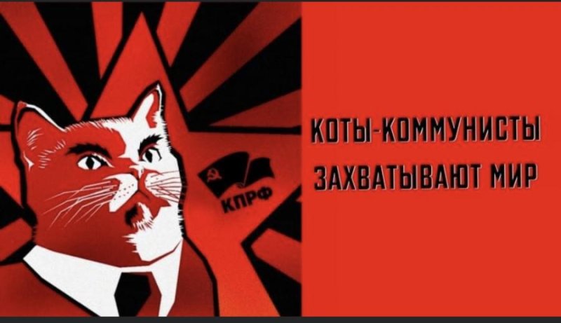 Кот коммунизм