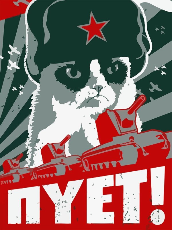 Кот коммунист в ушанке