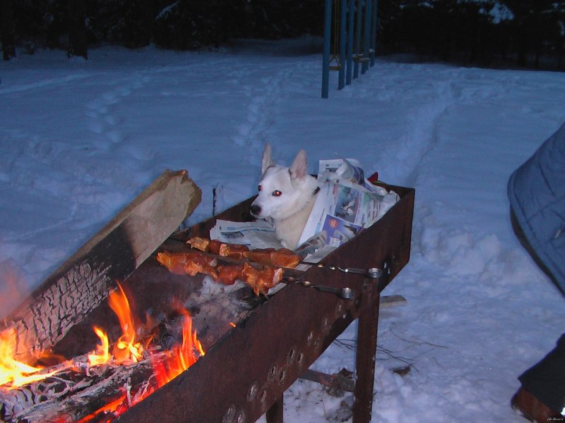 Шашлыки зимой ночью
