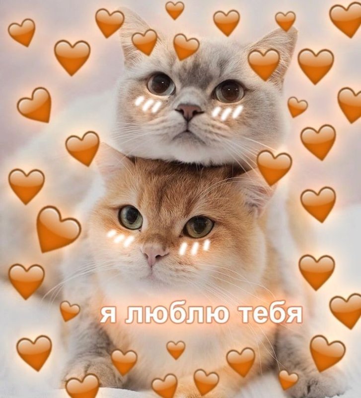 Кошечка с сердечком