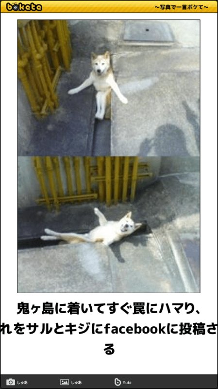 Собака переживака Мем