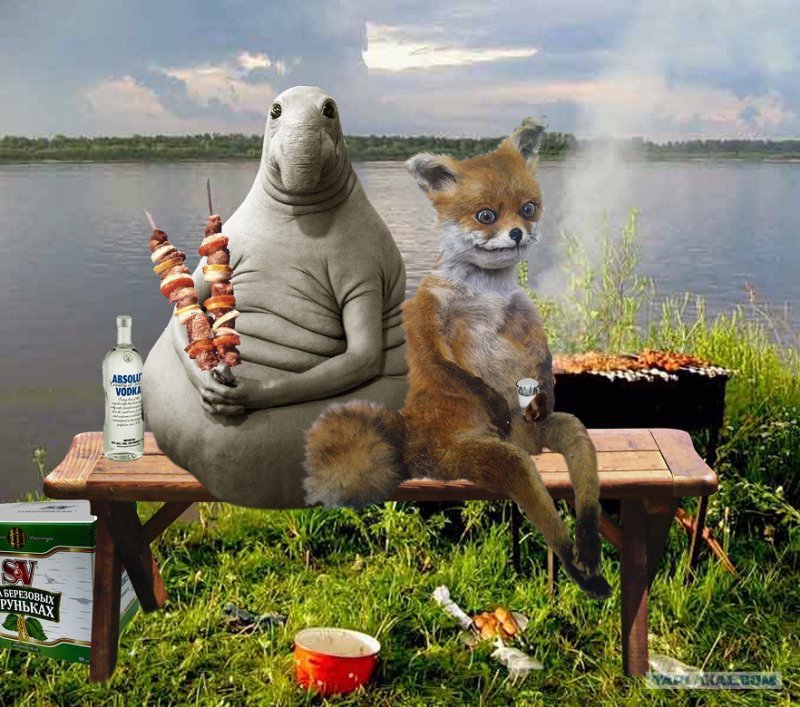 Упоротая лиса и Ждун