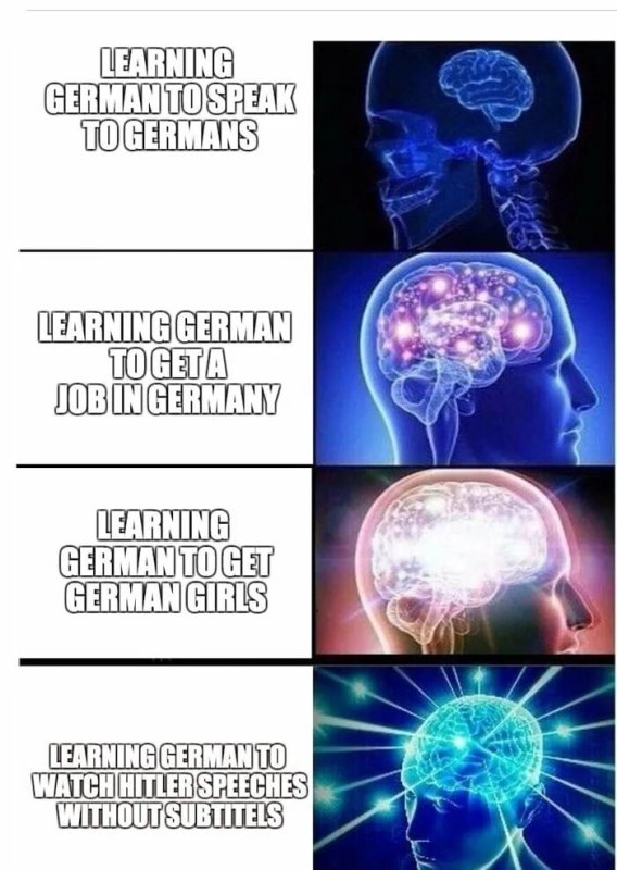 Мем с мозгом человека