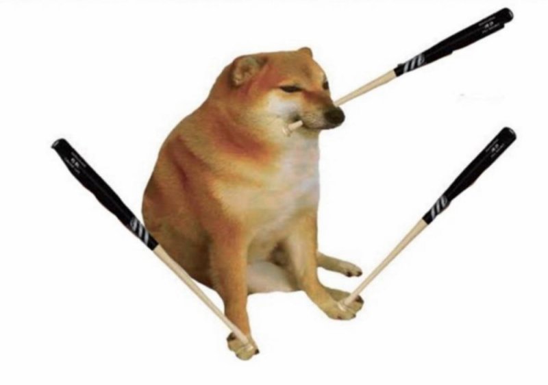 Собака с битой прогоняет гориллу