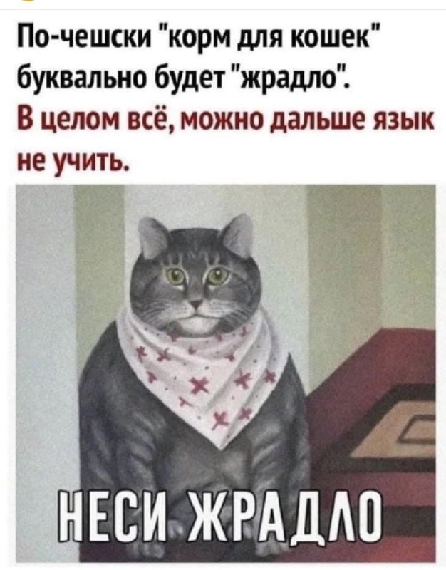 Неси черешню кот Мем