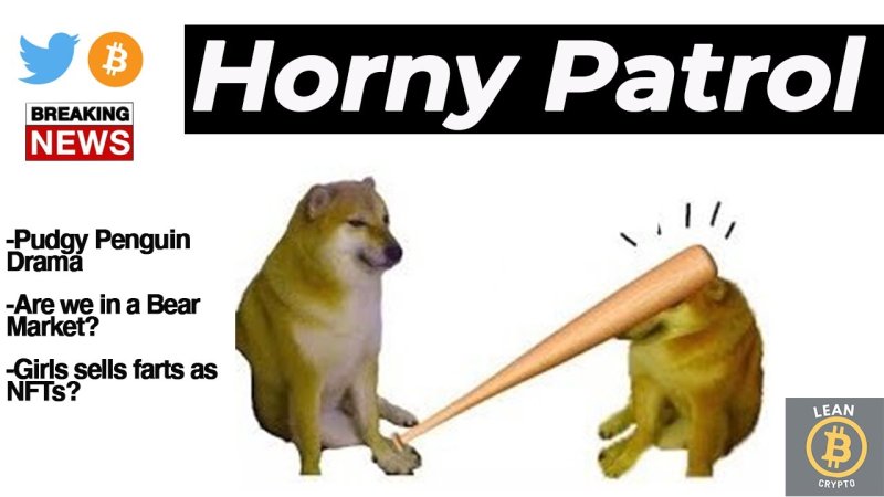 Бонк Мем собака