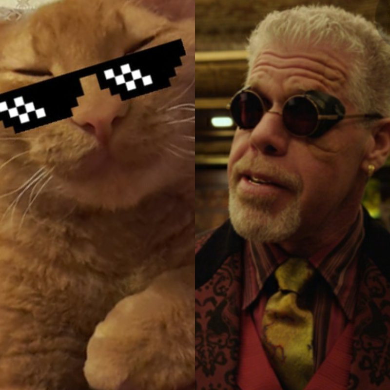 Рон Перлман кот Мем