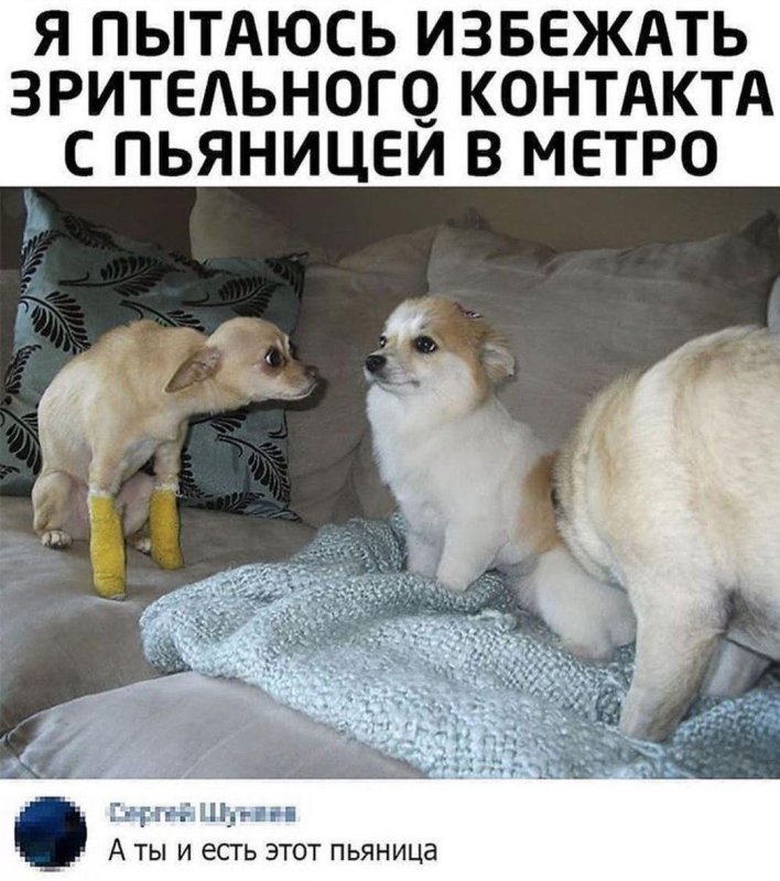 Это я пытаюсь избежать зрительного контакта