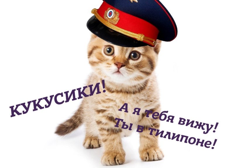 Кот Кукусик