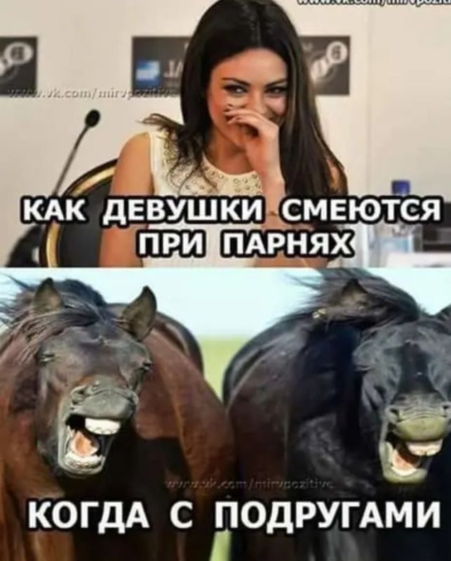 Картинки приколы