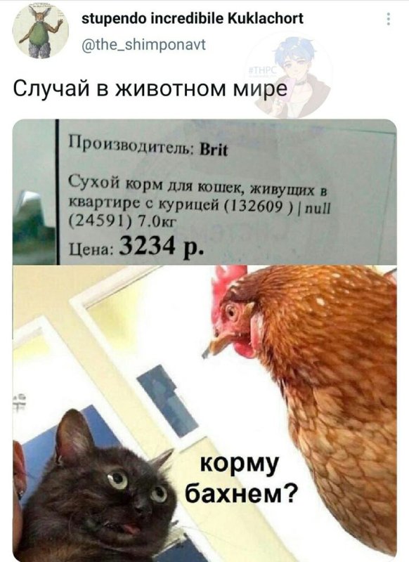 Мем корм для кошек с курицей