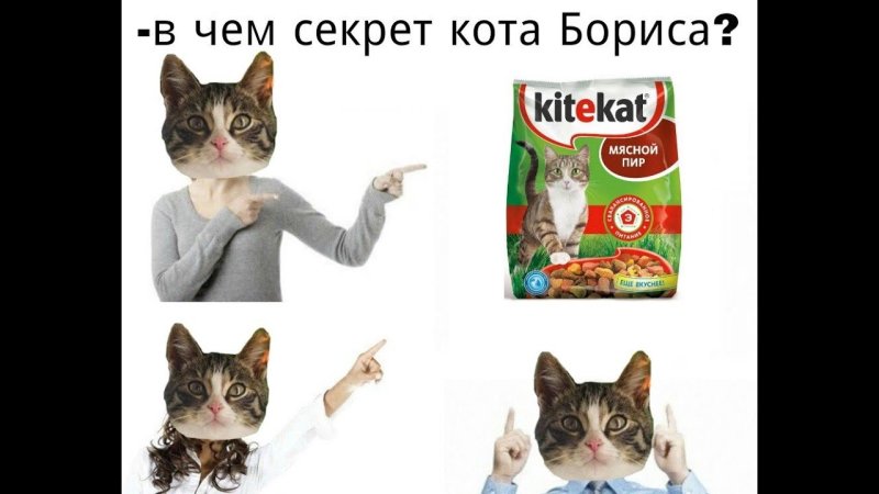 Секрет кота Бориса Мем