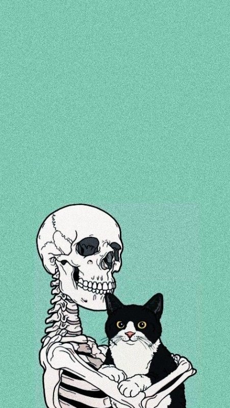 Кот скелет арт