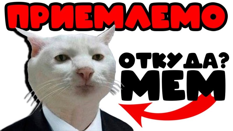 Приемлемо Мем кот оригинал