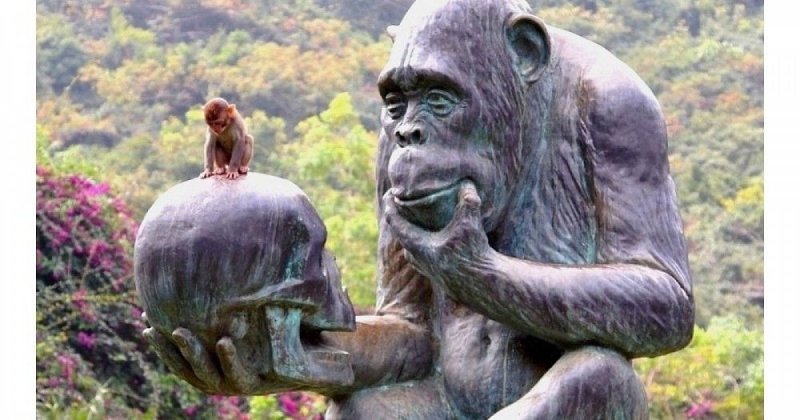 Скульптура «обезьяна»