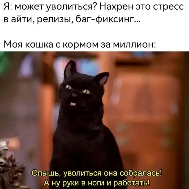 Сэлим сабртна маленькая ведьма