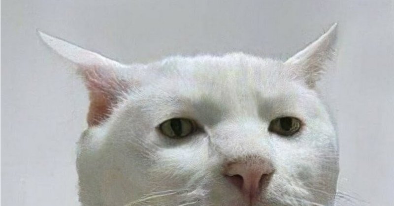 Приемлемо Мем кот