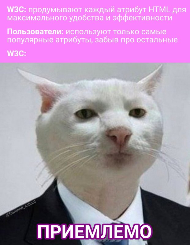 Кот из мема приемлемо