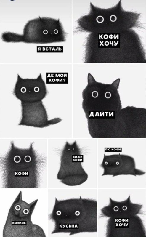Кот Мем