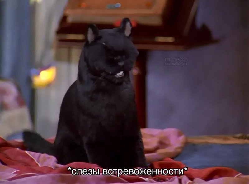 Салем Сабрина маленькая ведьма