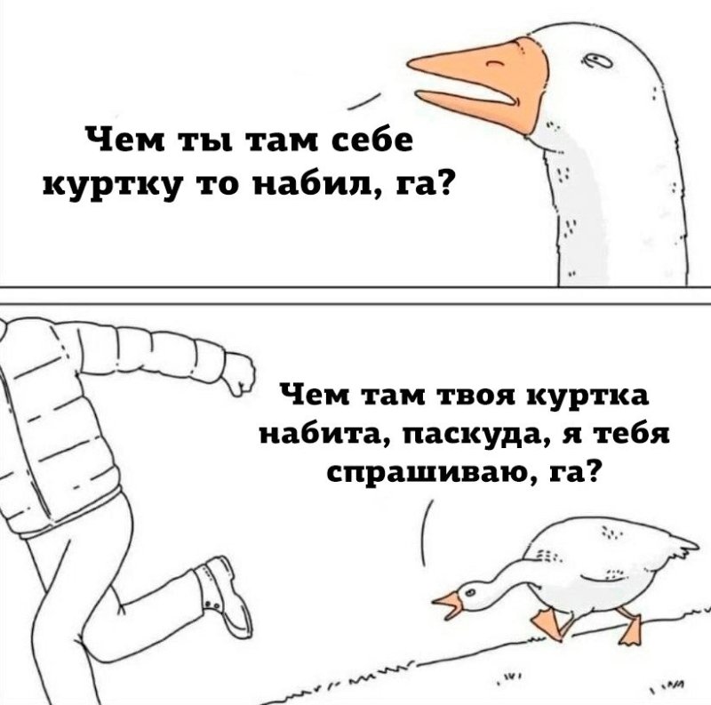 Шутки про гуся