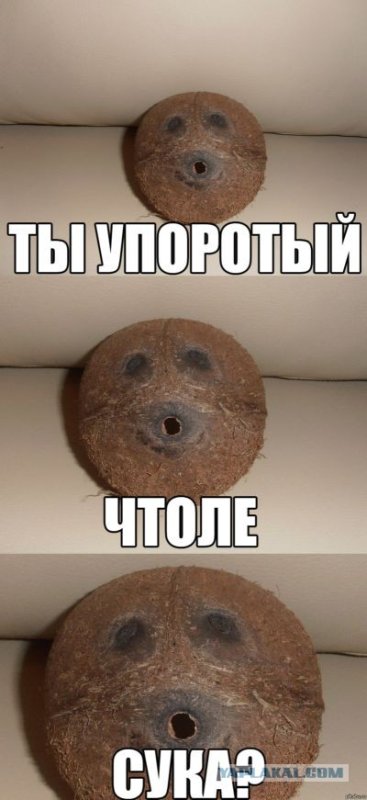 Упоротые мемы