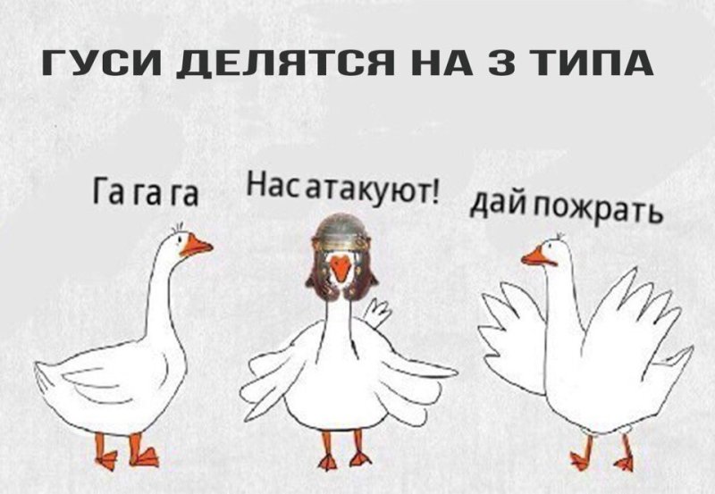 Гусь Мем
