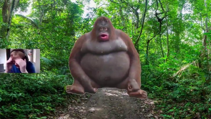 Стинки толстая обезьяна