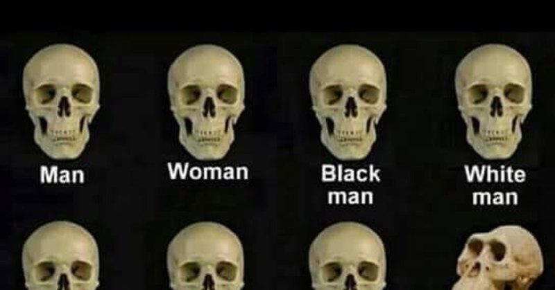 Черепа людей разных рас