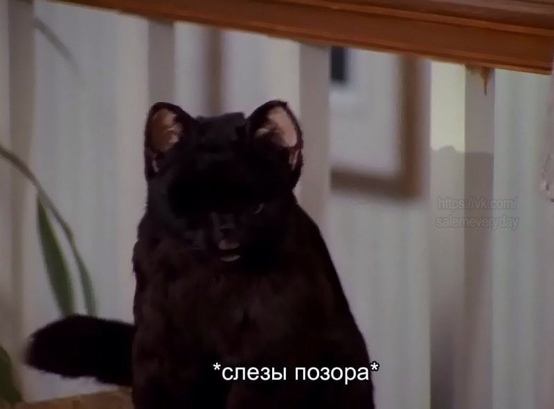 Сэйлем Сэйберхеген