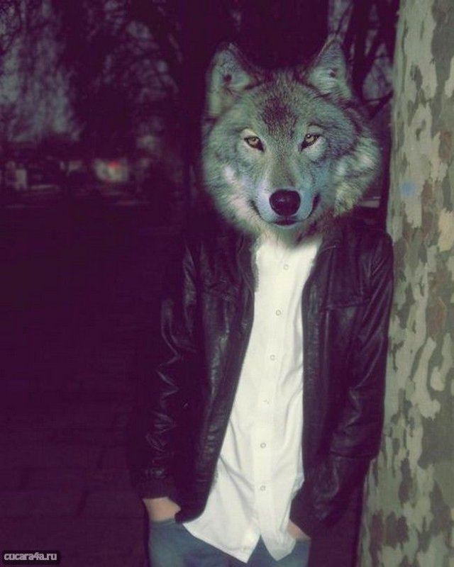 Костюм волка