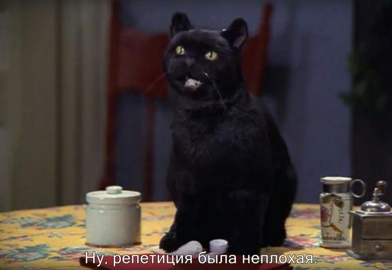 Кот Салем Сабрина