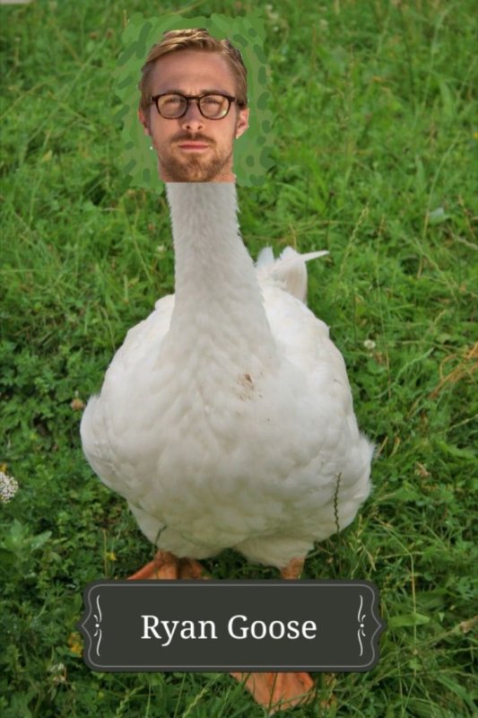 Человек Гусь