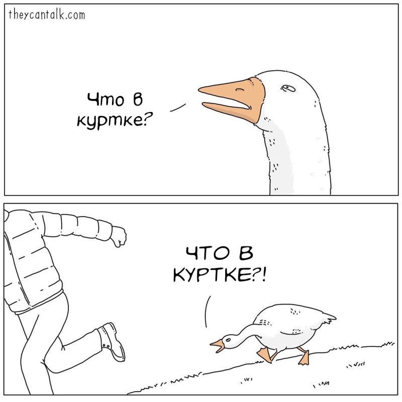 Мемы с гусями